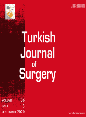 Turkish Journal of Surgery